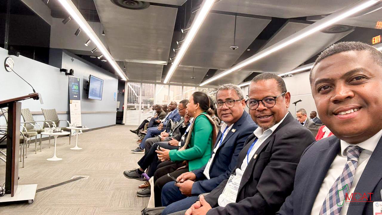 photo15052025_1802_1