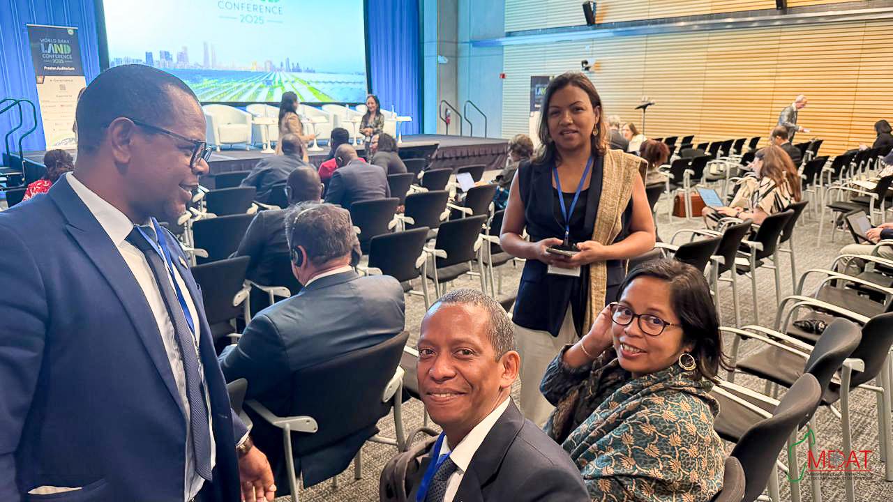 photo15052025_1802_3